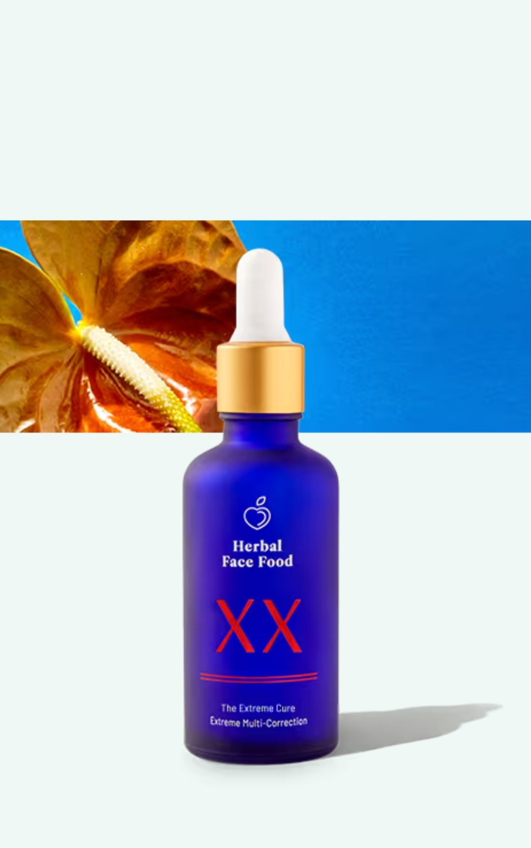 The Extreme Cure XX